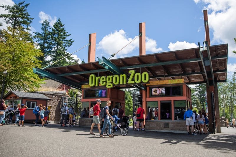 Sở thú Oregon là điểm đến hấp dẫn với hơn 2.000 loài động vật hoang dã