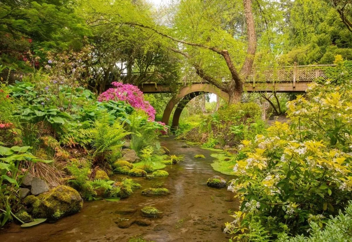 Vườn đỗ quyên Crystal Springs rực rỡ sắc hoa, tạo nên không gian lãng mạn và yên bình giữa Portland