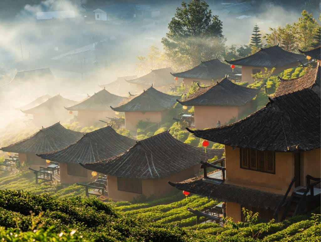 ban rak thai Ban Rak Thai Village – Ngôi làng người Hoa yên bình giữa đồi chè Thái Lan