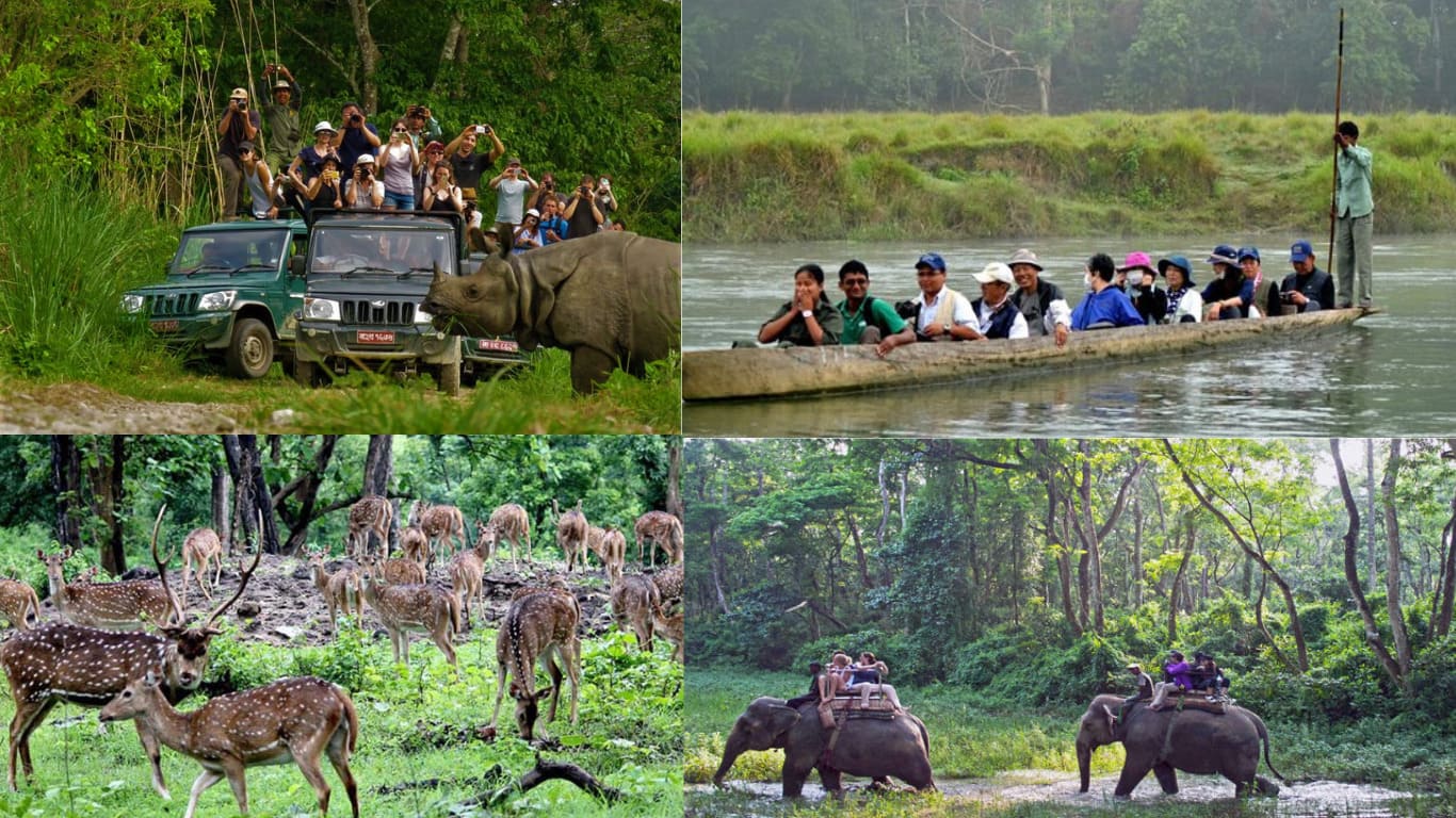 du lịch nepal Chitwan National Park là nơi bạn có thể gặp tê giác một sừng, voi và nhiều loài động vật quý hiếm
