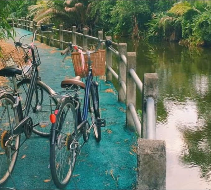 chợ nổi bang nam phueng Trải nghiệm đạp xe quanh chợ nổi Bang Nam Phueng mang lại cảm giác thư thái giữa không gian xanh yên bình