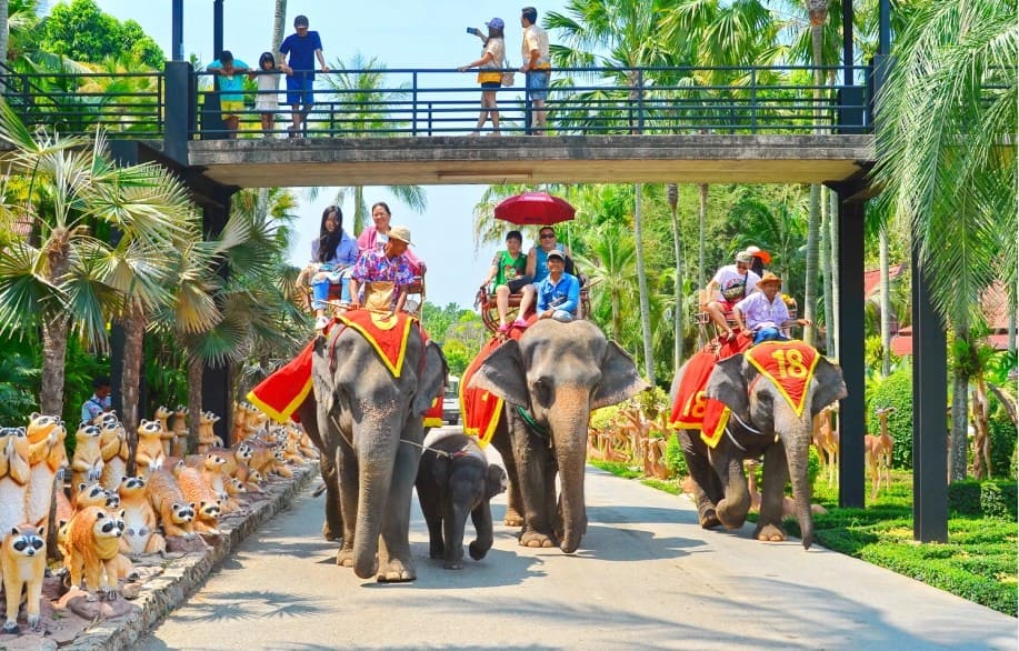 Buổi sáng mùa xuân – hè là lúc Nong Nooch đẹp và dễ tham quan nhất