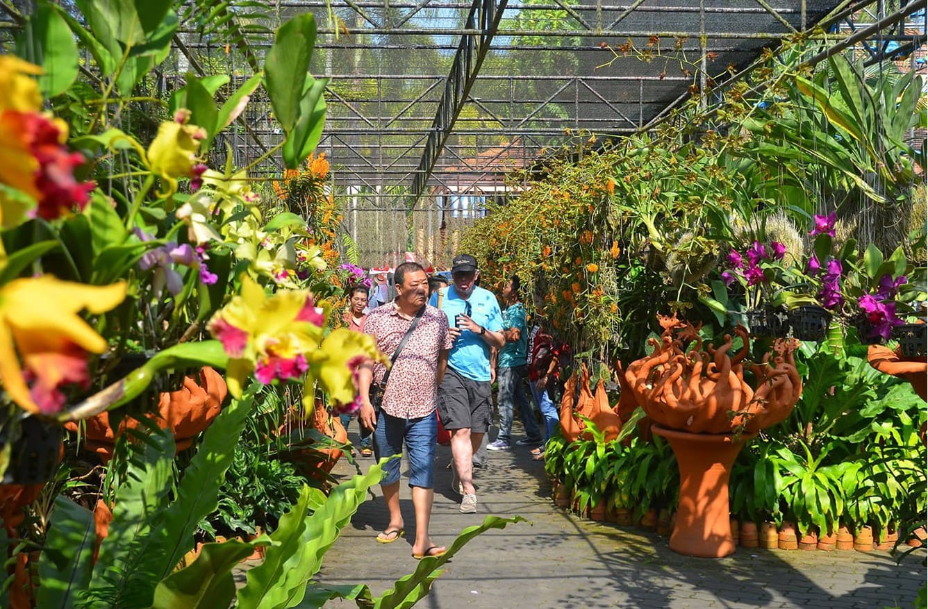 Đắm chìm trong không gian lan đầy màu sắc tại Nong Nooch