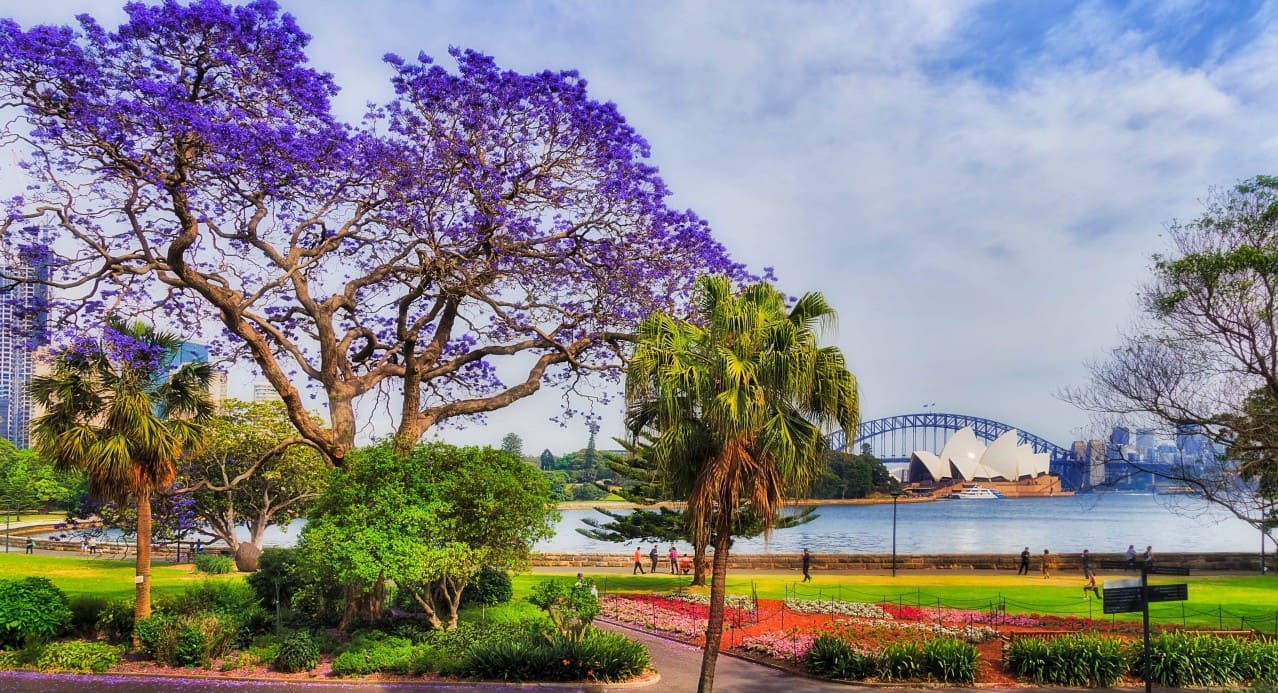 Thời điểm đẹp nhất để du lịch Sydney là từ tháng 9 đến tháng 11, khi thời tiết mát mẻ và cảnh sắc rực rỡ