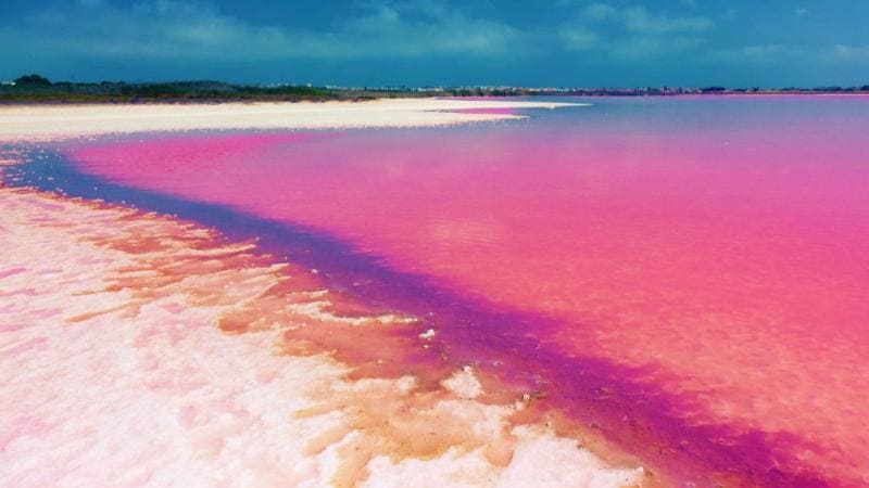 kinh nghiệm du lịch châu phi Hồ Retba gây ấn tượng với sắc hồng độc đáo thay đổi theo ánh sáng