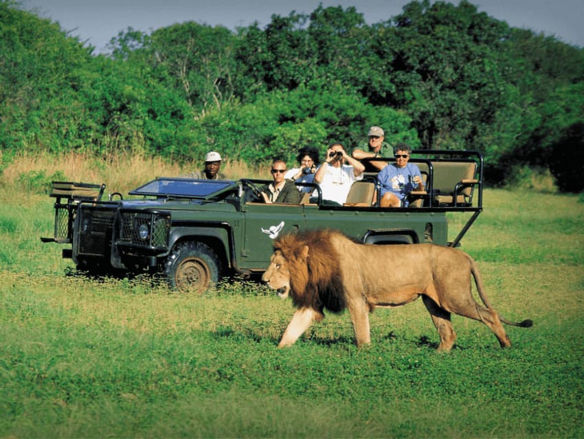 kinh nghiệm du lịch châu phi Tour du lịch Châu Phi mang đến hành trình khám phá thiên nhiên hoang dã và văn hóa đa dạng