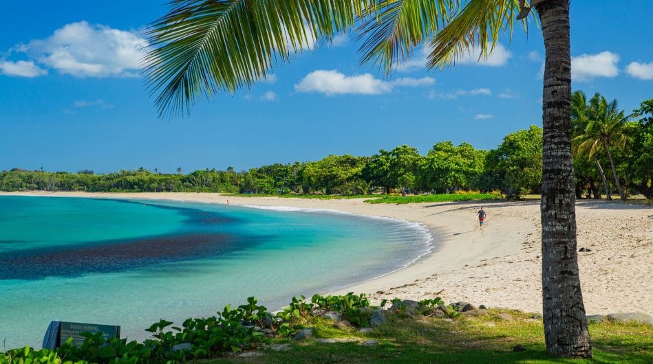Coral Coast nổi bật với bãi biển và rạn san hô rực rỡ