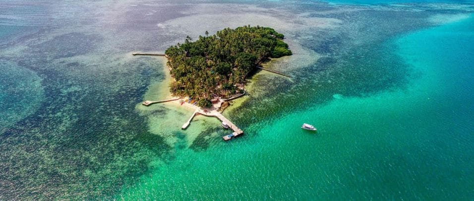 Thiên nhiên xanh mướt trải dài trên đảo là lý do Taveuni được gọi là “Garden Island”