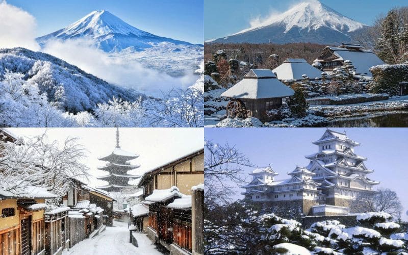 Hành trình 7 ngày khám phá Tokyo, Kyoto và Osaka với cảnh sắc mùa đông, văn hóa truyền thống và ẩm thực đặc sắc