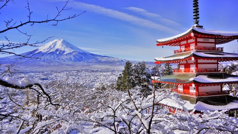 Tokyo mùa đông nổi bật với phố phường rực rỡ ánh đèn, không khí lễ hội và những điểm tham quan văn hóa đặc sắc