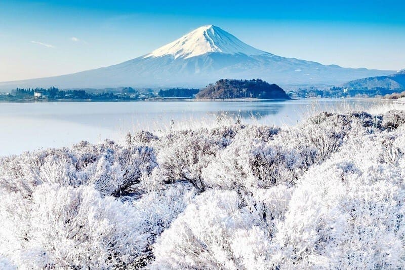 Hành trình 5 ngày khám phá Tokyo, núi Phú Sĩ và Osaka giữa mùa đông Nhật Bản