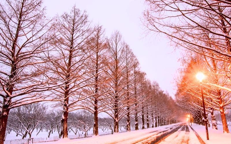 Thời tiết Nhật Bản tháng 12 có sự khác biệt giữa các vùng, từ tuyết trắng ở Hokkaido đến khí hậu se lạnh tại Tokyo và Osaka